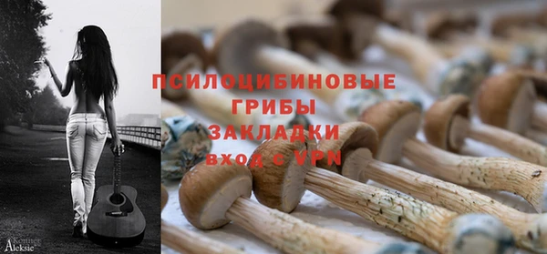 гидропоника Нея