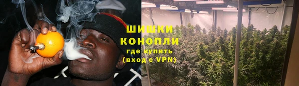 молекула духа Нефтегорск