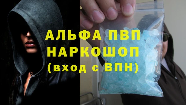 СК Новодвинск
