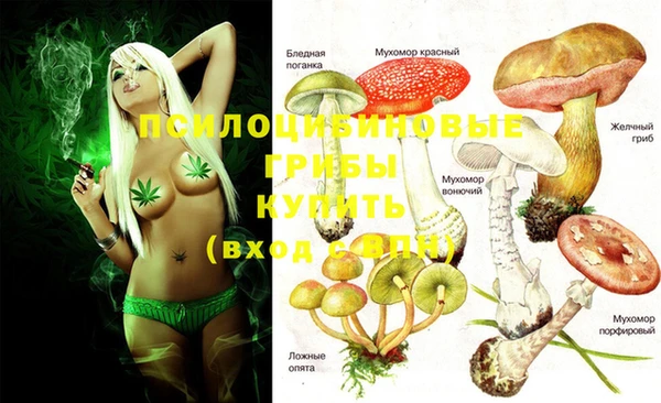 а пвп мука Новозыбков