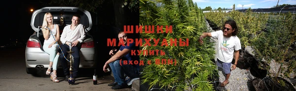 молекула духа Нефтегорск