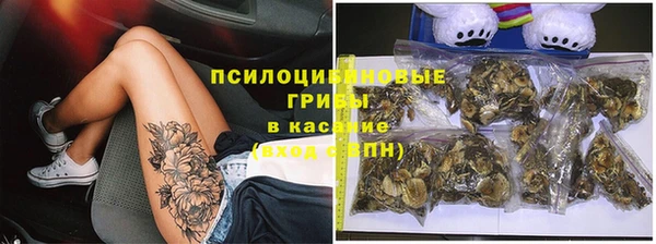 молекула духа Нефтегорск