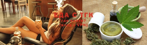 индика Нефтекумск